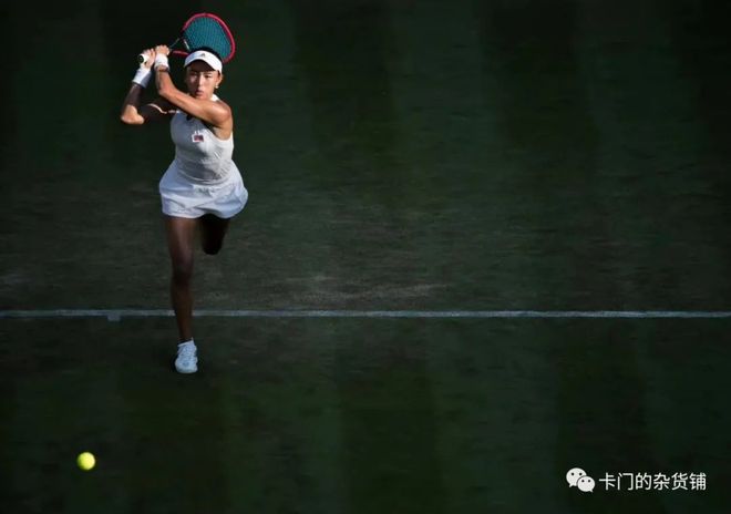 无价资产 无价资产